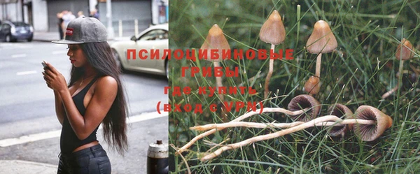 прущий лед Майский