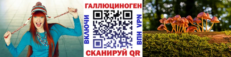 Галлюциногенные грибы Magic Shrooms  Купить закладки  Нелидово 